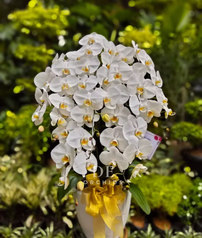 bouquet bunga