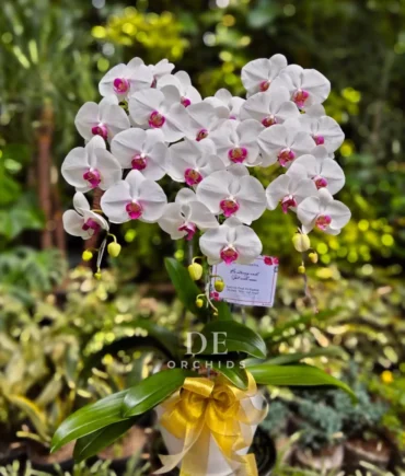 florist jakarta