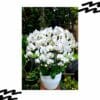 florist online jakarta