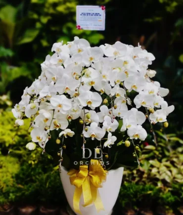jual buket bunga terdekat