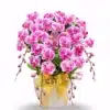 Anggrek bulan Dewasa Rangkaian 5 Pohon Warna Pink Strip