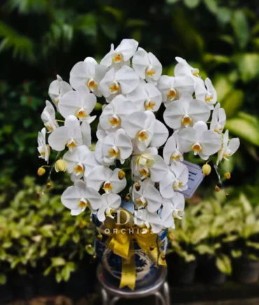 buket bunga wisuda