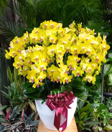 florist