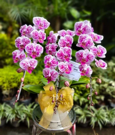 jual bunga terdekat