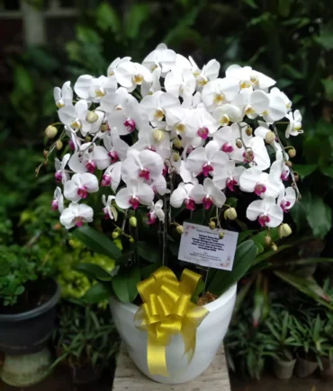 buket bunga
