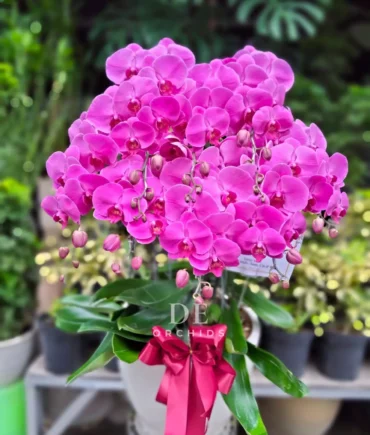 jual buket bunga terdekat
