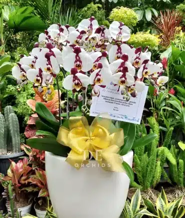 bouquet bunga