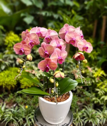 florist terdekat