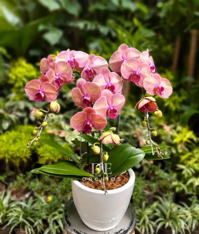 florist terdekat