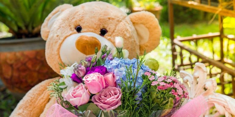 Teddy Bear rose