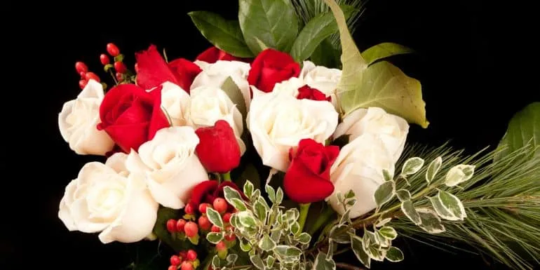 bunga mawar rose
