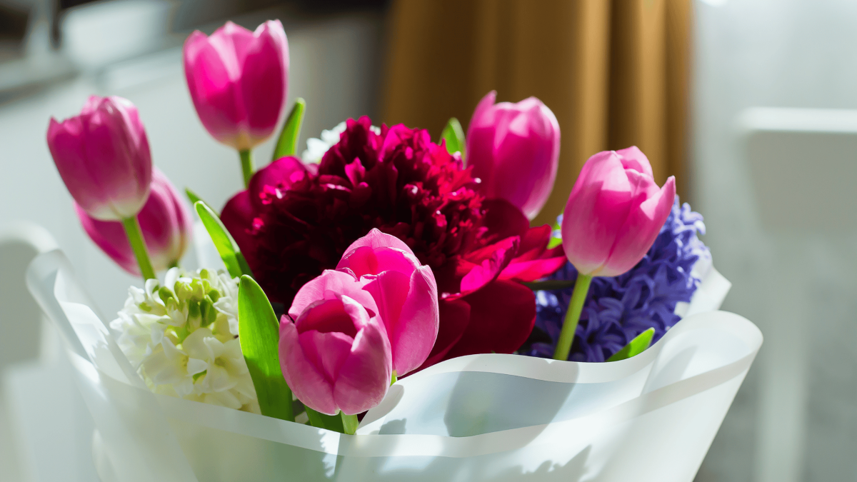 Bunga Yang Cocok Dikirimkan Kepada Orang Yang Berduka De Orchids