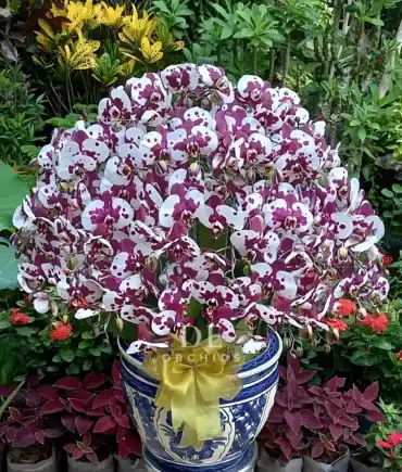 florist jakarta