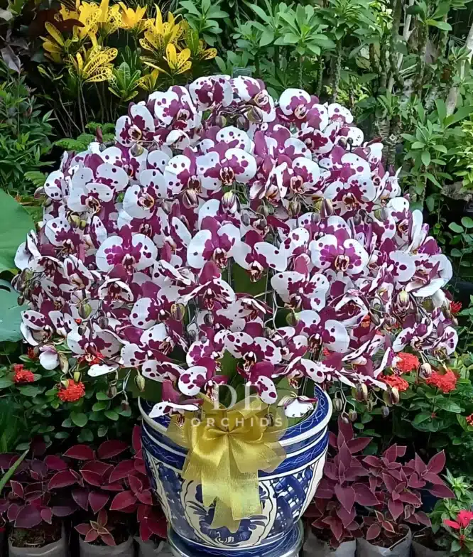 florist jakarta