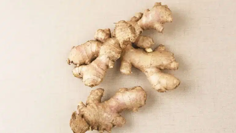 Jahe (Zingiber officinale)