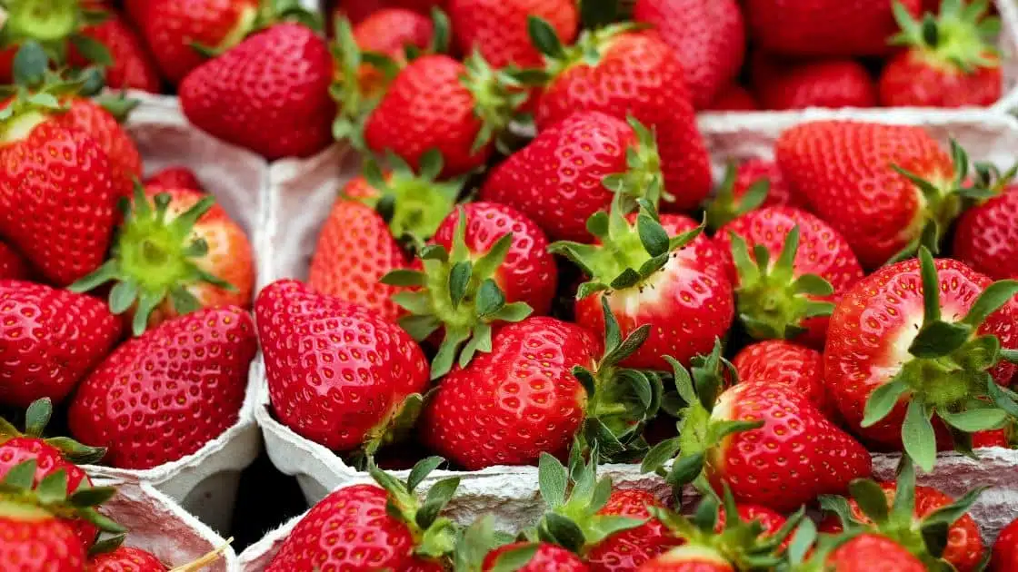 Pentingnya Buah Strawberry dalam Kesehatan Anda