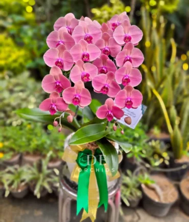florist terdekat
