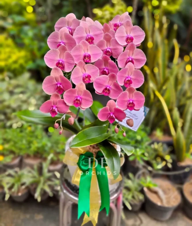 florist terdekat