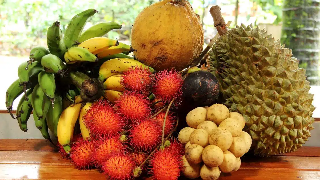Benefits of Tropical Fruit Boost Your Health with Exotic Flavors