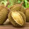 Durian Fruit: The King of Tropical Delights