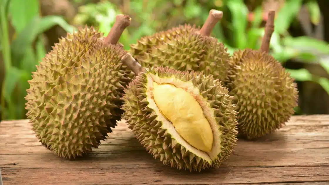 Durian Fruit: The King of Tropical Delights