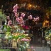 Toko Bunga Online Jakarta Solusi Lengkap untuk Kebutuhan Bunga Anda