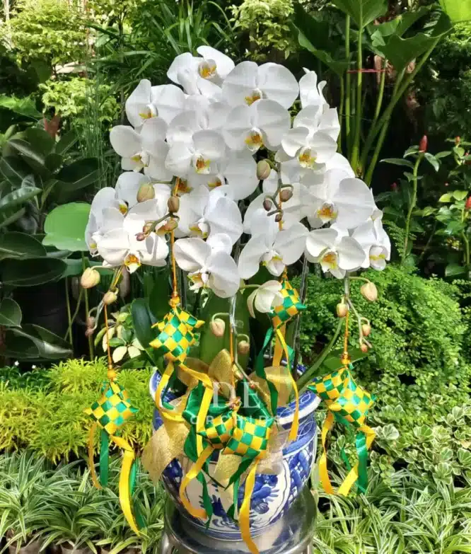 toko bunga jakarta