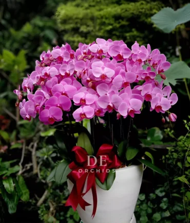 florist pik