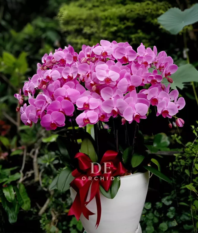 florist pik
