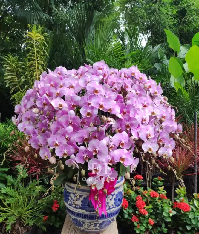 jual karangan bunga