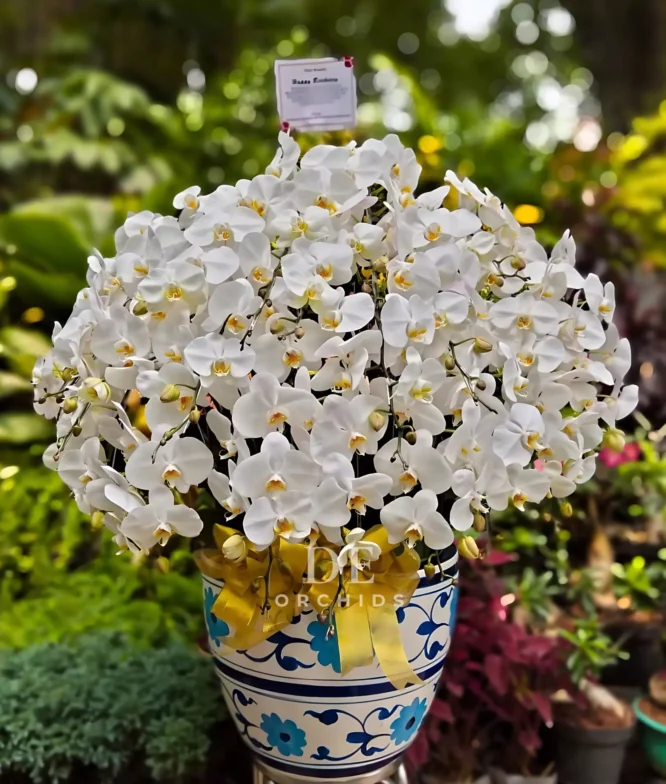 bouquet bunga