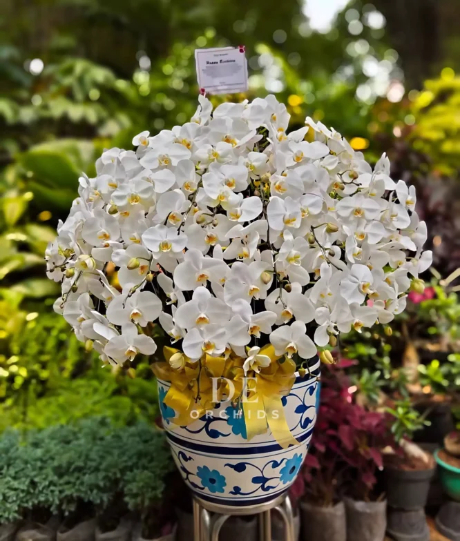 bunga papan duka cita
