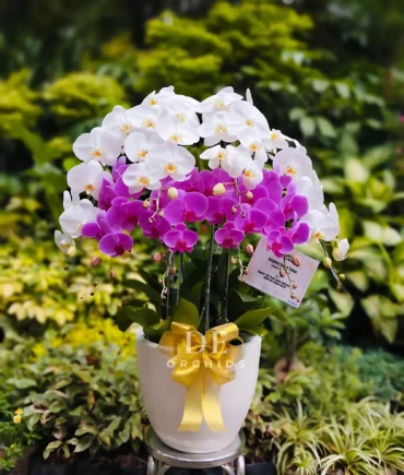 florist