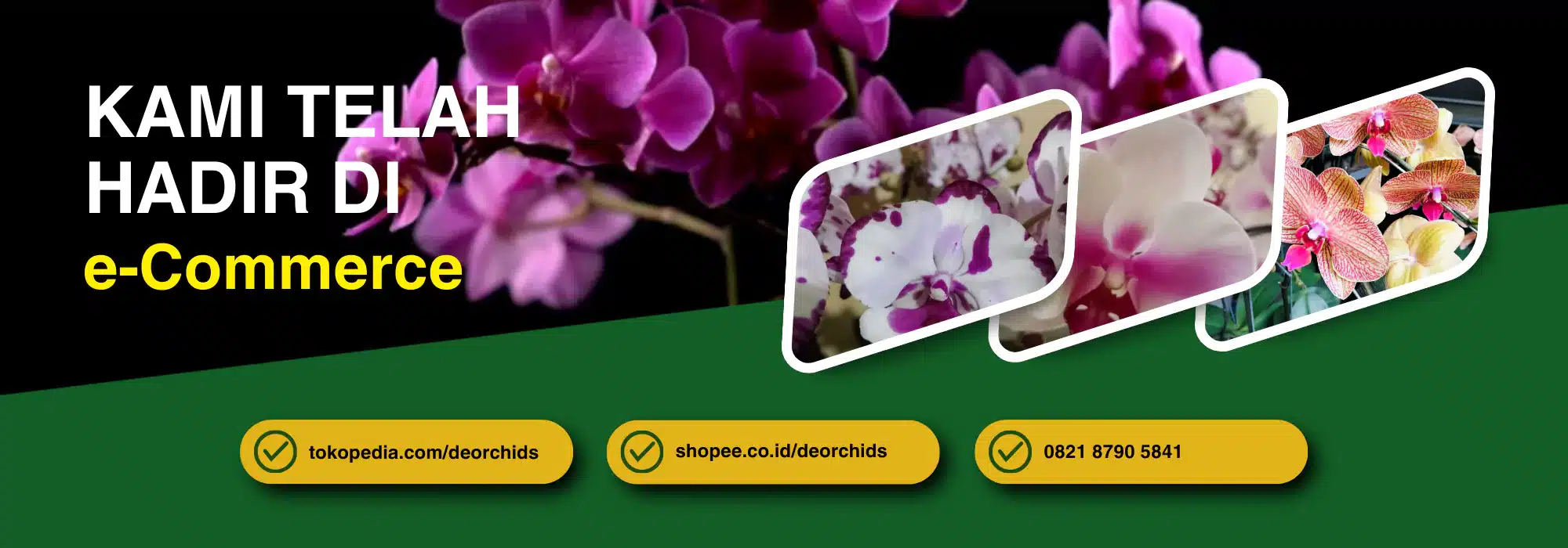 deorchids ecommerce