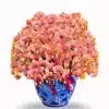 Anggrek bulan isi 30 pohon warna Orange Pot Keramik