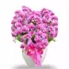 Anggrek Bulan Sweet Pink Glow 8 Pohon