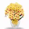 Anggrek bulan isi 6 pohon warna Kuning