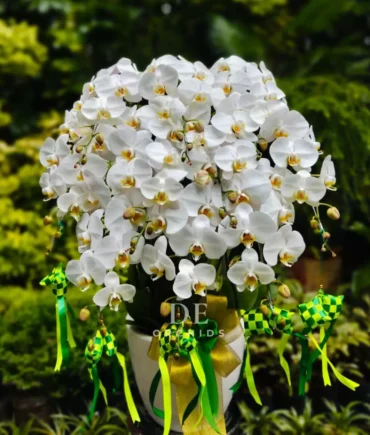 anggrek putih hampers lebaran