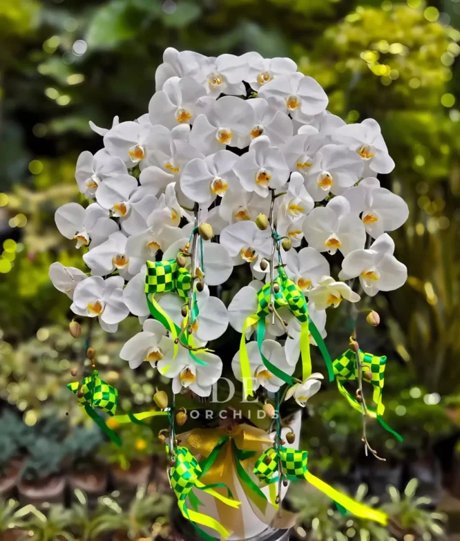 anggrek hampers lebaran warna putih 6