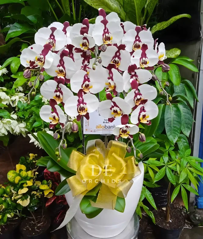 toko bunga bogor