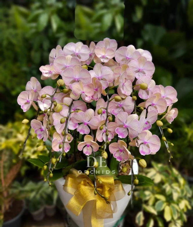 florist jakarta