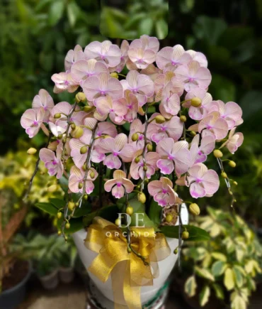 toko bunga jakarta selatan