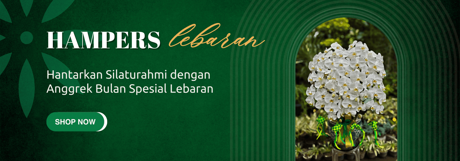 anggrek bulan hampers lebaran premium