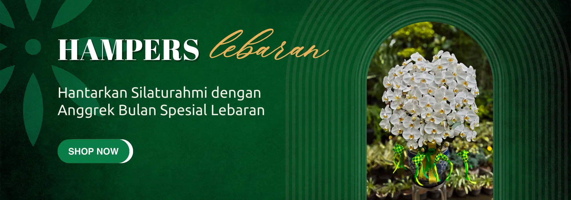 anggrek bulan hampers lebaran premium