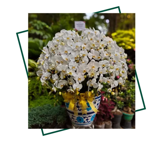 florist and dift dki jakarta