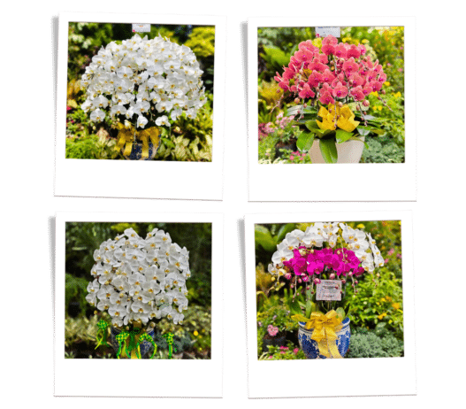 toko bunga terdekat tangerang selatan