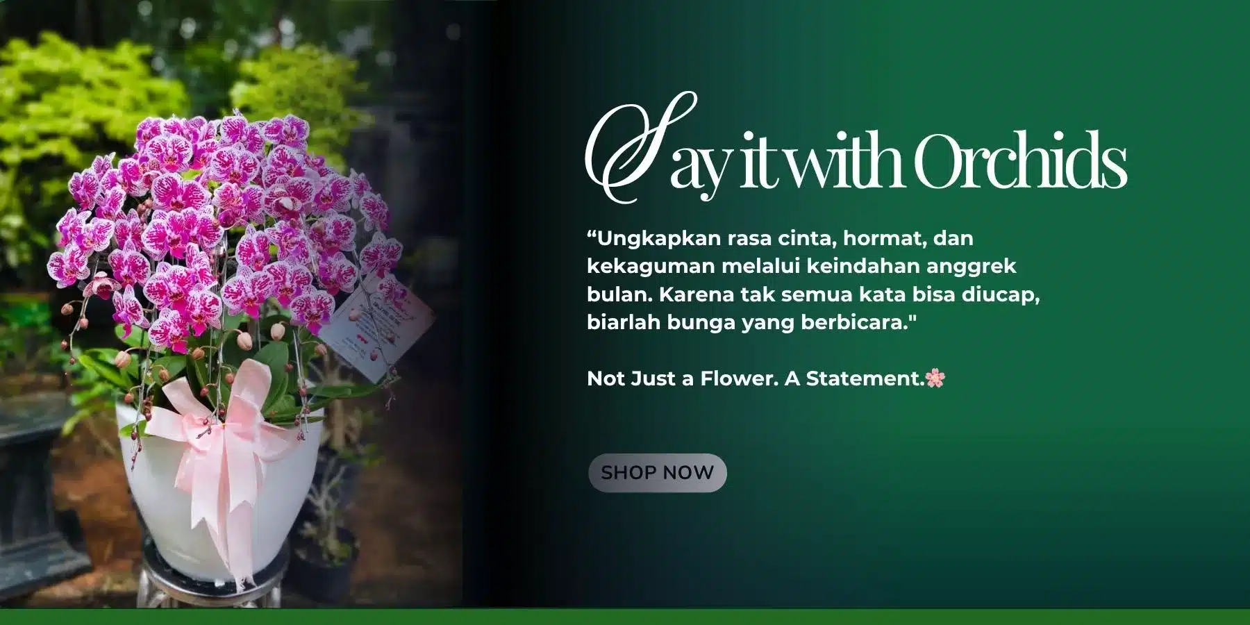 Bunga anggrek putih elegan untuk hadiah di area Jakarta