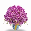 Orchids Purple Paradise 1