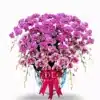 anggrek bulan pink ungu