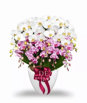 Pure Butterfly Elegance 8 Pohon